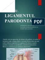 Ligamentul Parodontal