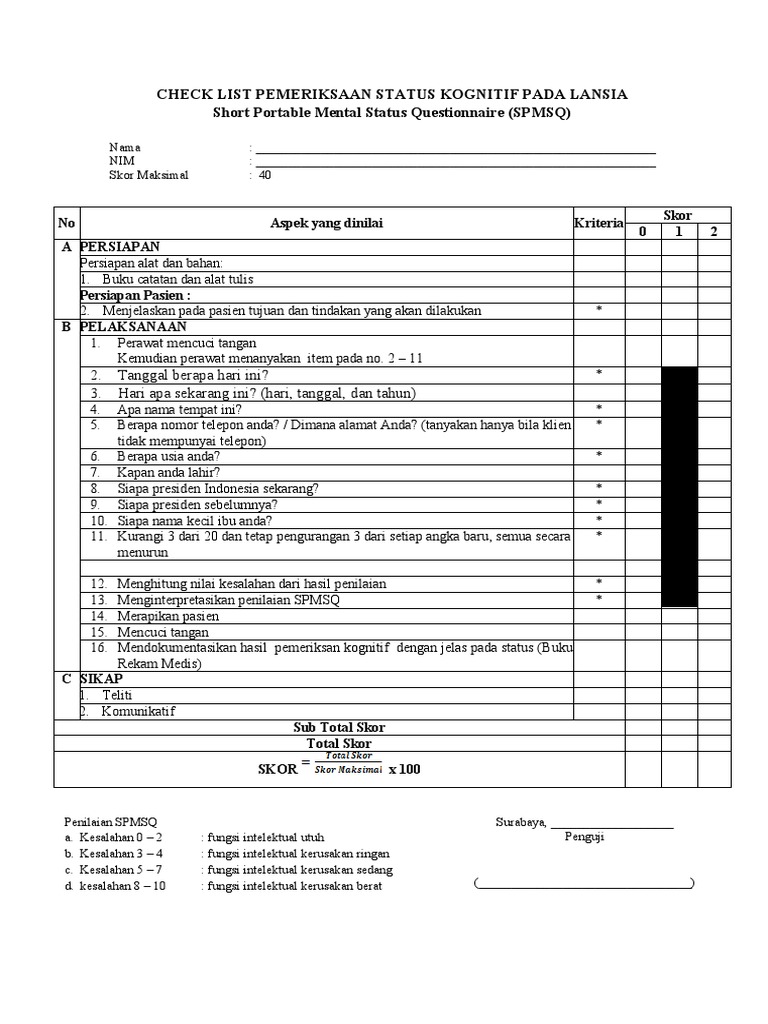 Pengkajian Kognitif Lansia dengan SPMSQ | PDF