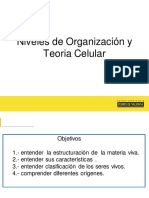T Cel y Organizacion Bilologica