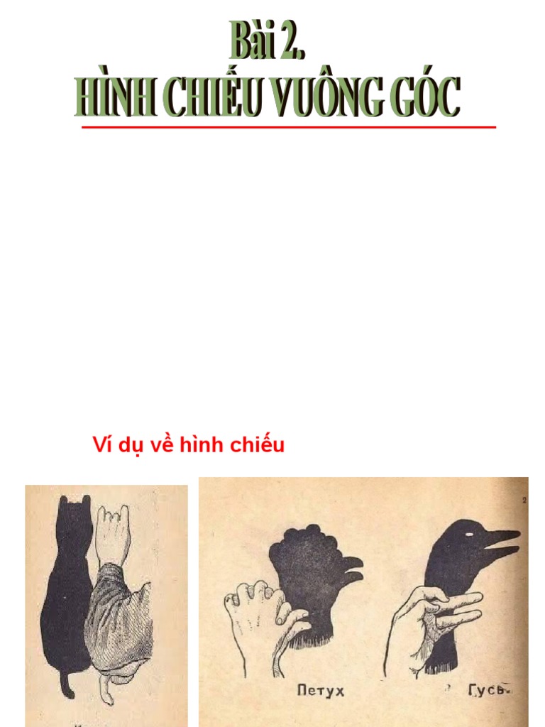 Bai 2 hinh chieu vuong goc pdf