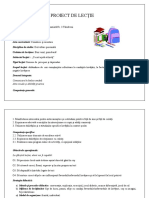 PROIECT DIDACTIC DP