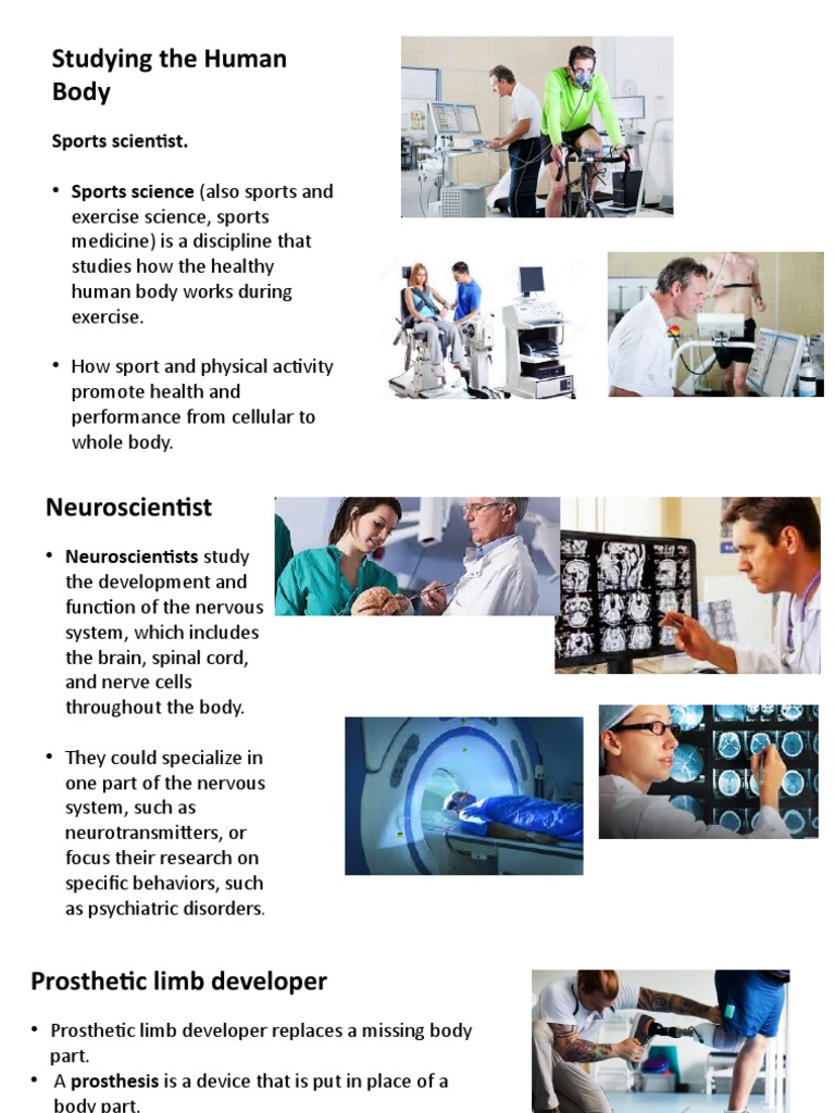 Exploring Careers in Human Health and Performance PDF Dietitian