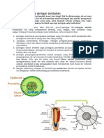 Struktur Dan Fungsi Jaringan Tumbuhan