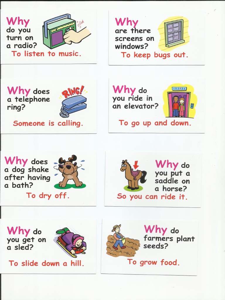 Why Questions Cards | PDF