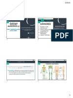 Tema 2 Conceptos Antómicos Básicos Del Pie