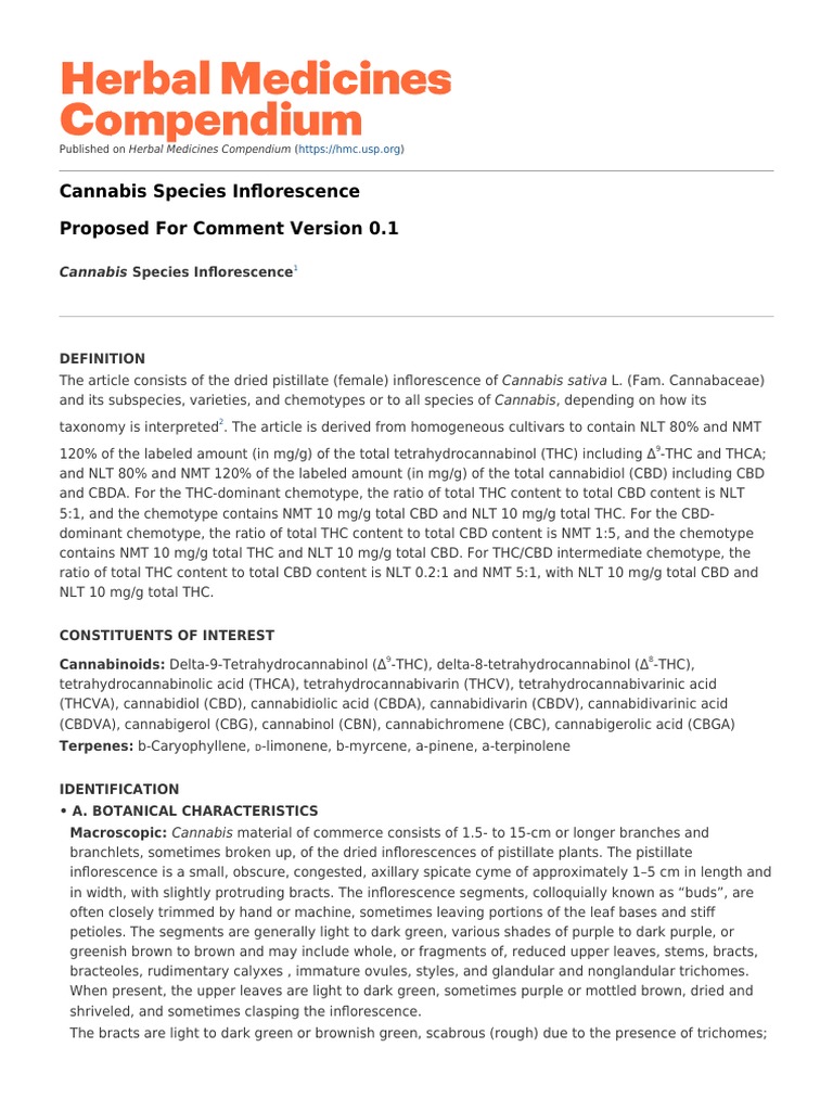 Cannabis Inflorescence Overview | PDF | Leaf | Tetrahydrocannabinol