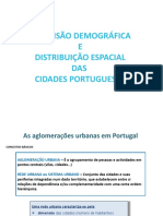 1 Dimensao Demográfica