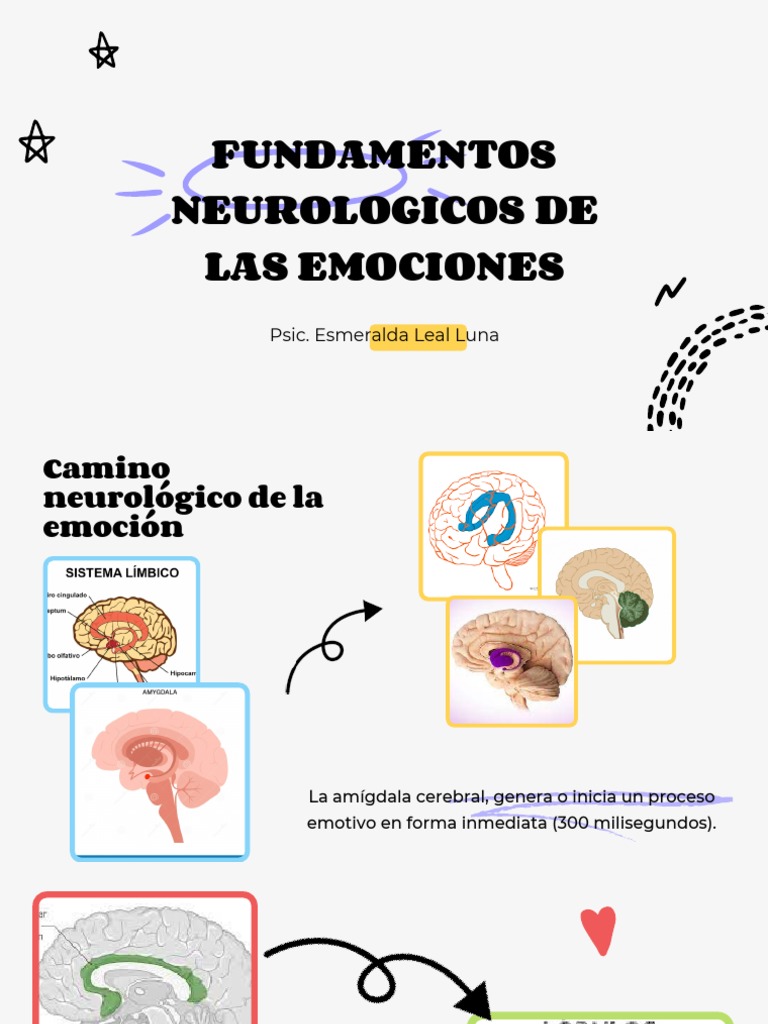 Neurociencia de las Emociones | PDF | Las emociones | Cerebro