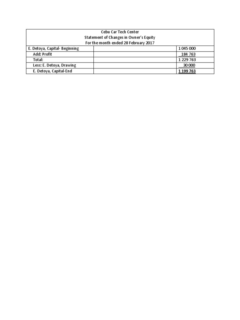 Owner's Equity Update for Investors | PDF