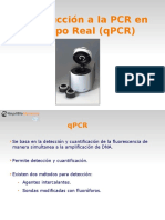 Q PCR