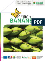 Fiches Innovation Banane