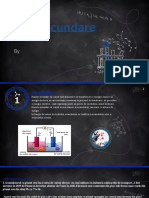 Proiect Chimie