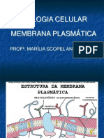 Membrana Plasmatica Suplemento001