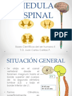 Neuroanatomia de Medula Espinal