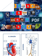 Juego de Mesa Ciencias Editable