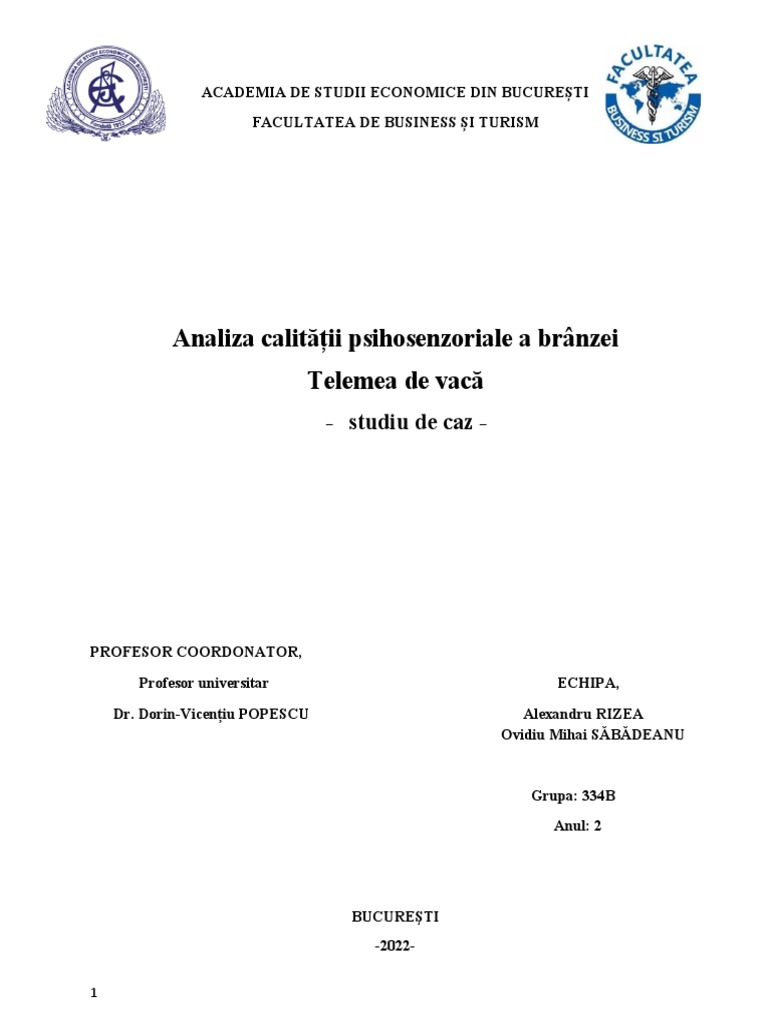 Sabadeanu Ovidiu Si Rizea Alexandru Gupa 334B | PDF