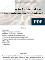 A Educação Ambiental e o Desenvolvimento Sustentável