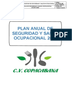 Cvc-Seg-001 Plan Anual Hse 2020