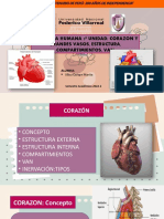 Unidad 3, Tarea2 Anatomía