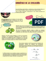 Teoria Simbiotica de La Evolución