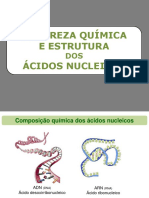 2 - Composição Química e Estrutura dos Ácidos Nucleicos