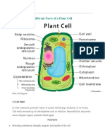 Cell Plant