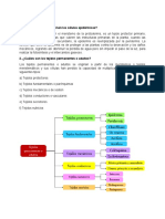 Práctica 02 de Botánica