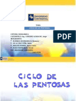 Bioquimica-Ciclo de Las Pentosas