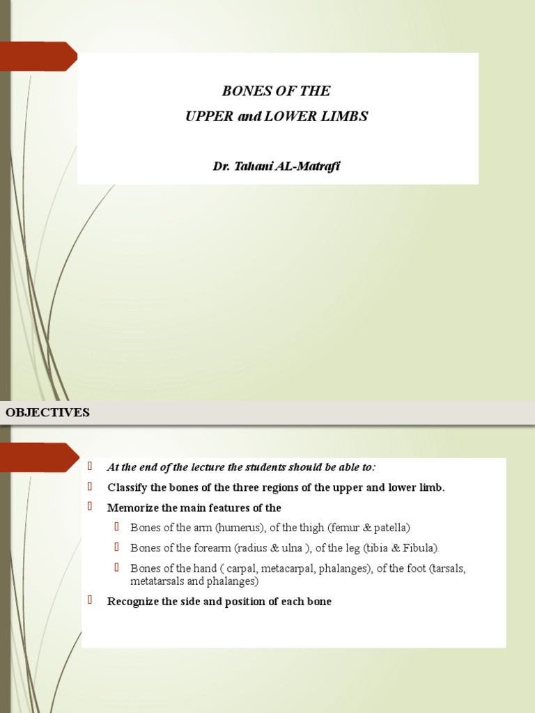 Anatomy of Upper and Lower Limb Bones | PDF | Knee | Human Leg
