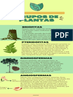 Reprodução e características dos principais grupos de plantas