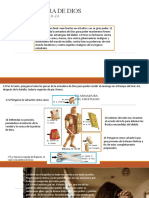 La Armadura de Dios