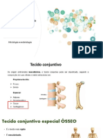 osseo e cartilaginoso pdf 2022