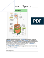 Aparato Digestivo