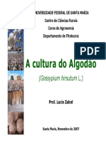 Aprenda Sobre A Cultura Do Algodão