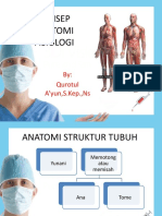 1.1.1-1.1.4 Konsep Anatomi Fisiologi