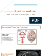 Doppler de Arterias Cerebrales