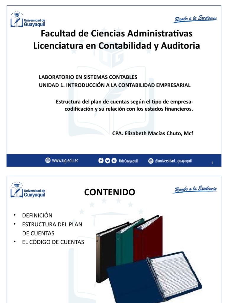 Estructura y Codificación del Plan de Cuentas | PDF | Contabilidad ...