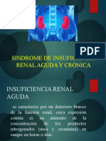 Insuficiencia Renal Aguda y Cronica