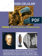 Celulas-1 Introducción y Ultraestructura