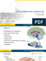 Microteaching Cerebri & Cerebellum DV