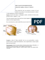 Resumen Clase N5 - Huesos de Cabeza y Cuello - Morfofuncion I