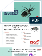Triada - Enfermedad de Chagas