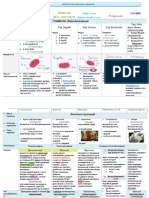 Ilovepdf Merged