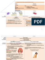 2 MicroBio Возбудители Респираторных Инфекций