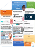 9 MicroBio Сифилис (!)