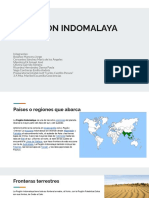 Región Indomalaya