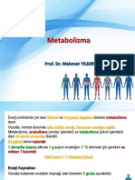 13_Metabolizma (1)