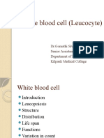 White Blood Cell (Leucocyte)