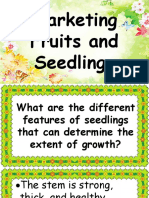 Marketing Fruits and Seedlings