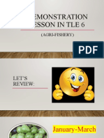 Demonstration Lesson in Tle 6